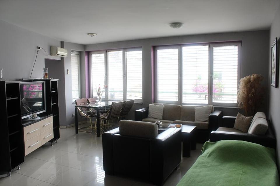 Apartman Natasa 1 Vrsac Esterno foto