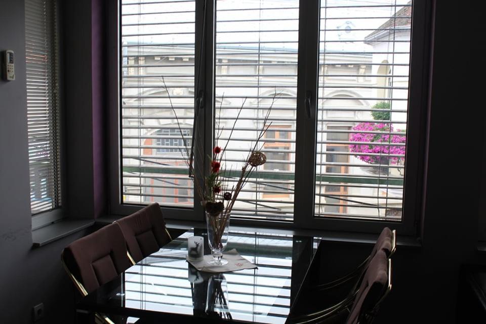 Apartman Natasa 1 Vrsac Esterno foto